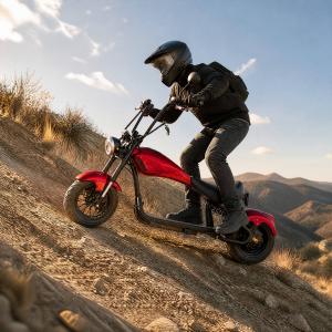 Can a 1000W Citycoco Scooter Climb Hills?