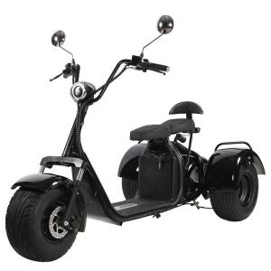 3 Wheel Electric Scooter For Adults Fat Tire Electric Trike Manufacturer