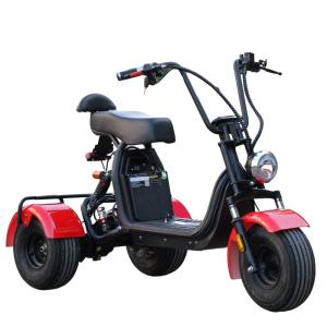 48V 1000W Small 3-Wheel Citycoco Electric Scooter – Removable Battery, 40km/h Max Speed, 150kg Load